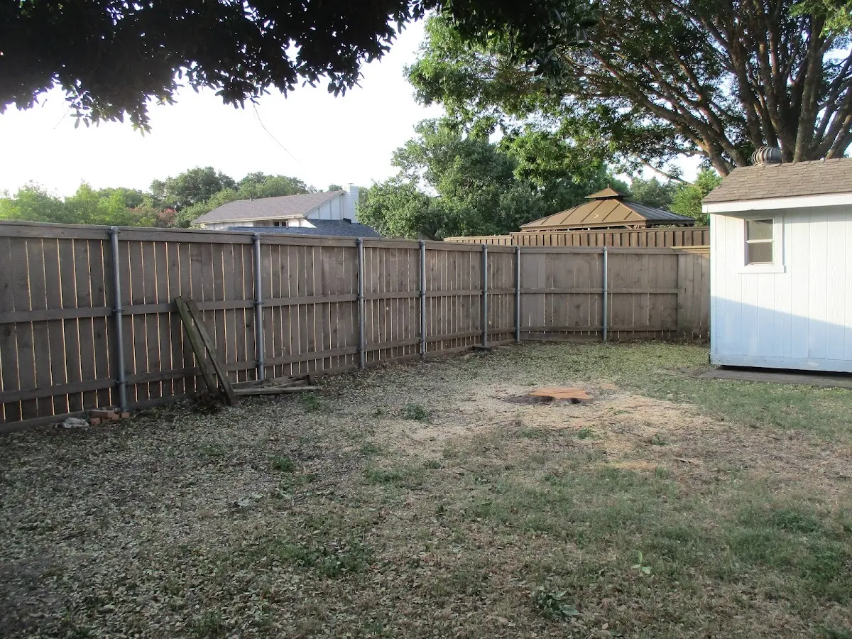 Cleared yard after professional tree removal in Dauphin